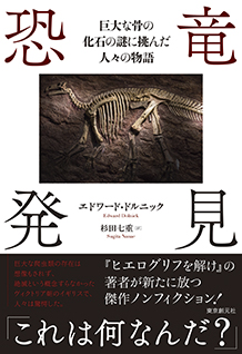 恐竜発見